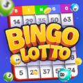 Bingo Lotto Win Lucky Number