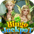 Bingo Jackpot Lucky spin Apk D