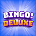 Bingo Deluxe game