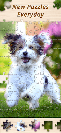Jigsaw Premium Puzzles HD mod apk download  1.186.0 screenshot 1