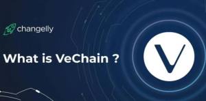 VeChain Wallet app Download latest versionͼƬ1