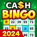 Offline Bingo Win Cash apk