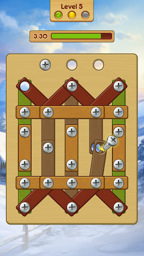 Wood Screw Nuts And Bolts mod apk no adsͼƬ2