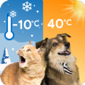 Cat & Dog Weather app