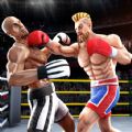 Tag Boxing Games Punch Fight