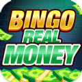 Money Bingo Clash Win Cash Mod