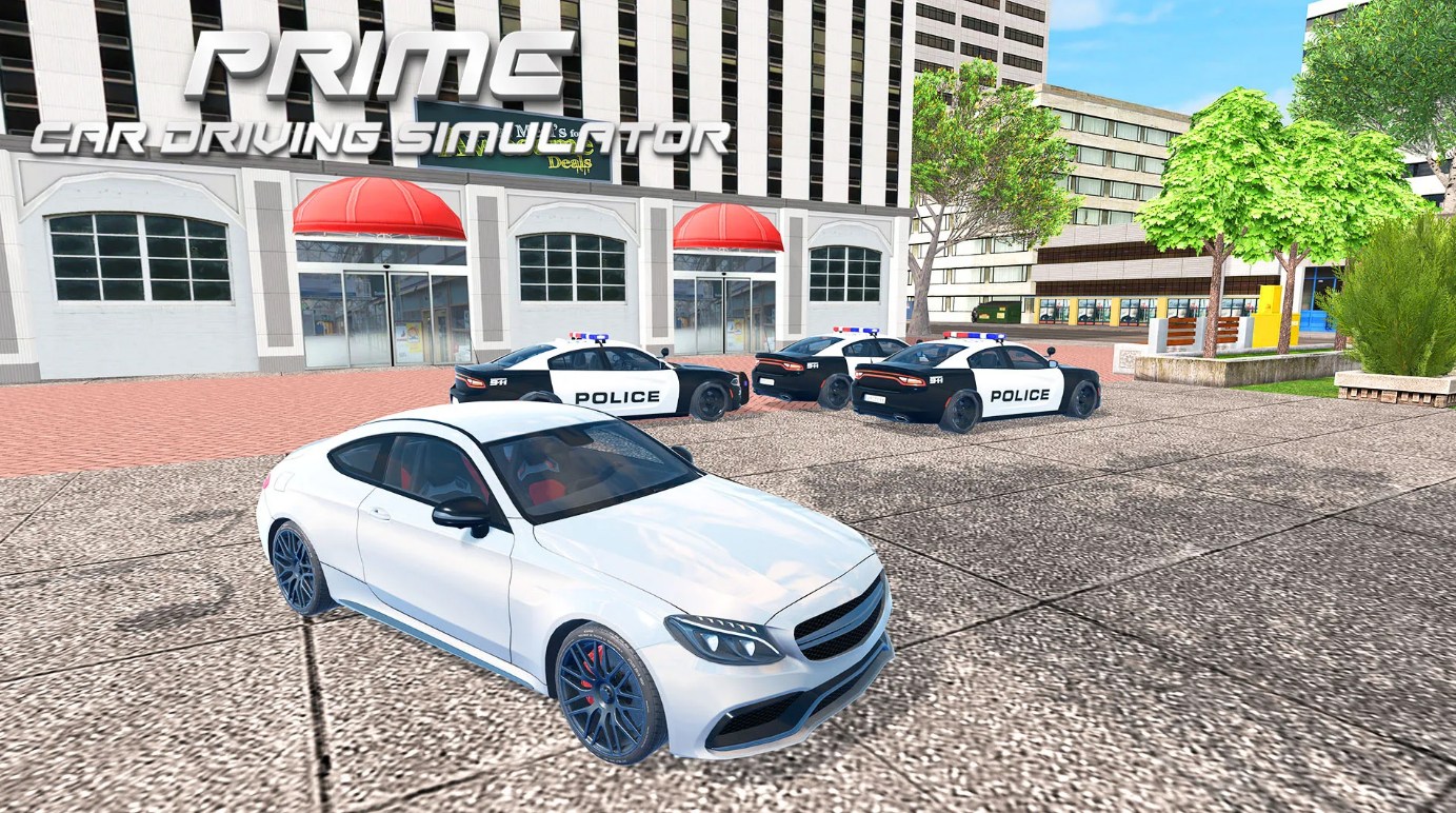Prime Car Driving Simulator 24 mod apk unlimited money  1.0.0 screenshot 2