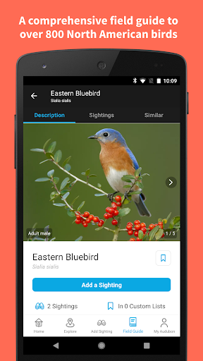Audubon Bird Guide app for android latest versionͼƬ1