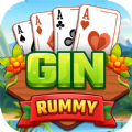 Gin Rummy Master Offline apk download for android  1.0005