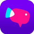 vidtalk random video call app download for android  1.4