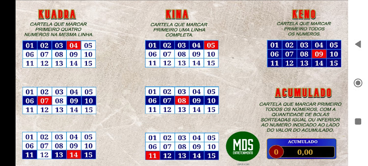 Bingo MDS Entretenimento apk download latest version  1.0.0 screenshot 3