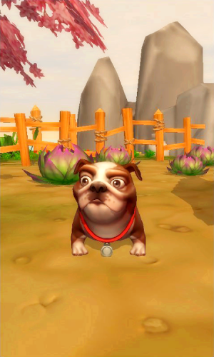 My Talking Dogs apk Download for AndroidͼƬ1
