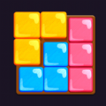 Block King Brain Puzzle Game