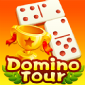 Domino Tour Gaple QiuQiu Remi