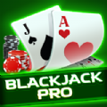 Blackjack Pro 21 Card Game Apk