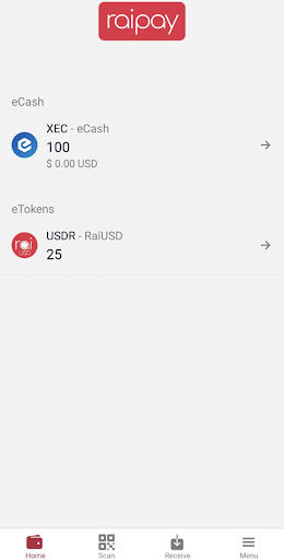 RaiPay Wallet app download latest versionͼƬ1