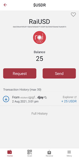 RaiPay Wallet app download latest version  0.19.5 screenshot 3