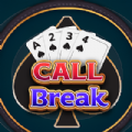 CallBreak Offline Card Games