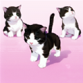My Little Kitty game Last version 1.5.3
