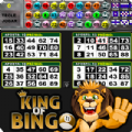 King of Bingo Video Bingo
