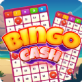 bingo cash apk (android) Last