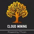 TTcoin Trees apk download latest version 2.3