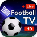 Live Football Video Streaming