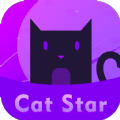 CatStar mining app