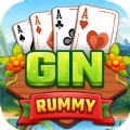 Gin Rummy Master Offline apk