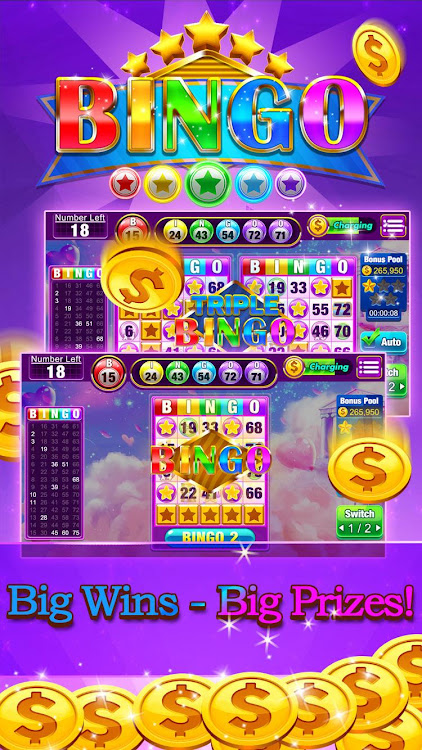 Pearls of Bingo mod apk unlimited money latest version  1.0.0 screenshot 3