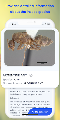 Insect ID AI Bug Identifier mod apk premium unlocked  1.3.7 screenshot 2