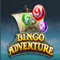 Bingo Adventure mod apk unlimited money  1.0.0