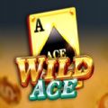 Wild Ace jili slot download