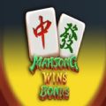 Mahjong Wins Bonus slot game download for android  1.0.0