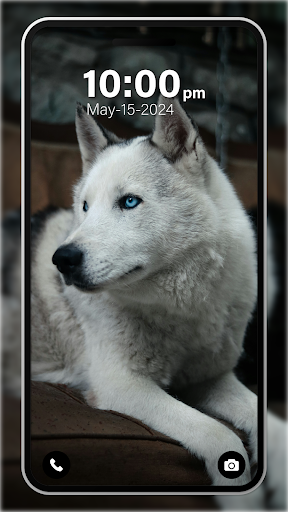 Puppy Wallpaper 4K Live app free download  1.0 screenshot 1