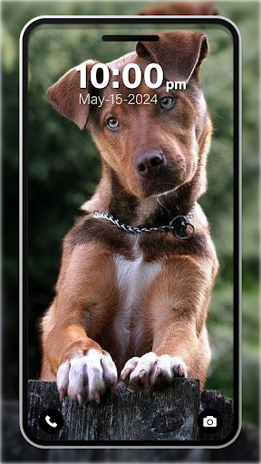 Puppy Wallpaper 4K Live app free download  1.0 screenshot 3