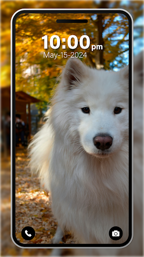 Puppy Wallpaper 4K Live app free download  1.0 screenshot 4