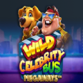 Wild Celebrity Bus Megaways Slot Apk Download Latest Version  1.0
