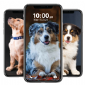 Puppy Wallpaper 4K Live app