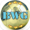 BWG Betting Tips App Free Download Latest Version  12.0