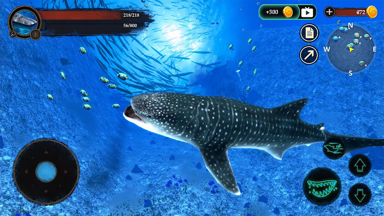 The Whale Shark apk Download for Android  1.0.3 screenshot 3