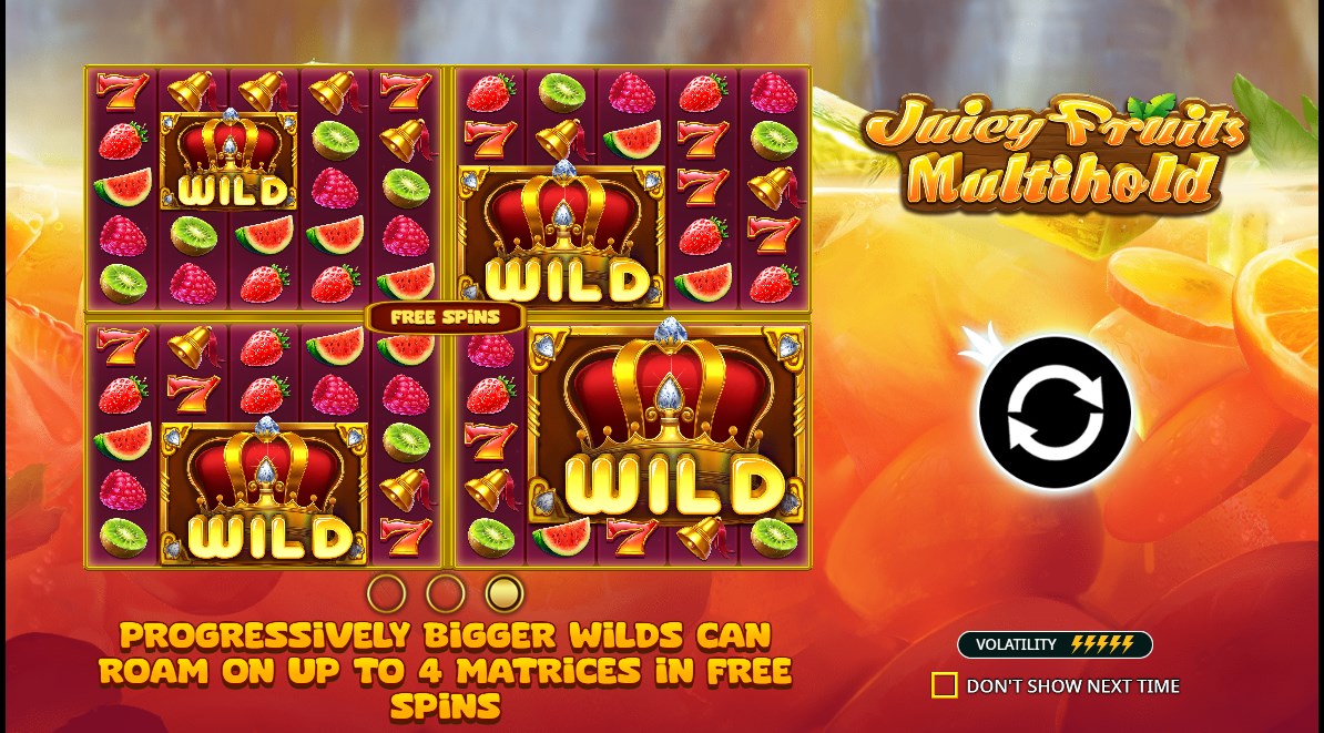 Juicy Fruits Multihold slot apk free download  1.0.0 screenshot 2