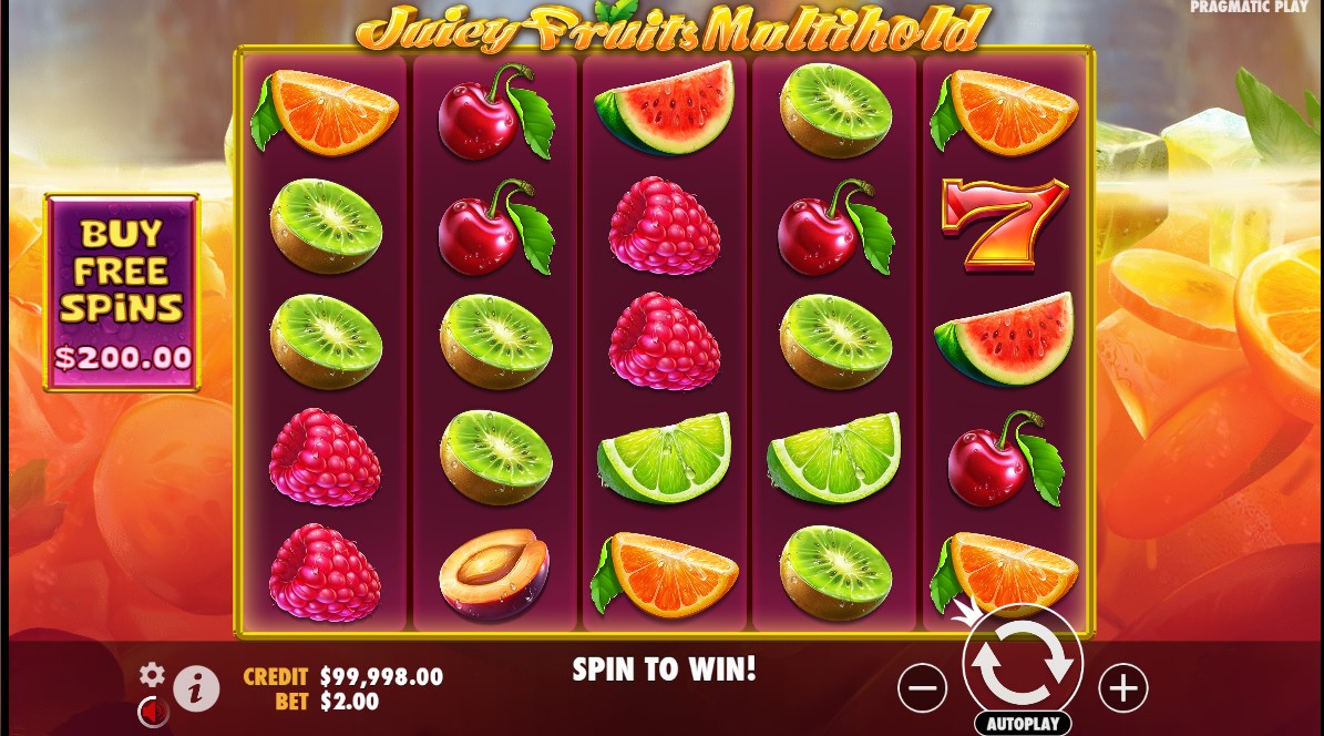 Juicy Fruits Multihold slot apk free download  1.0.0 screenshot 3