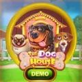 The Dog House Dice Show slot apk download for android  1.0.0