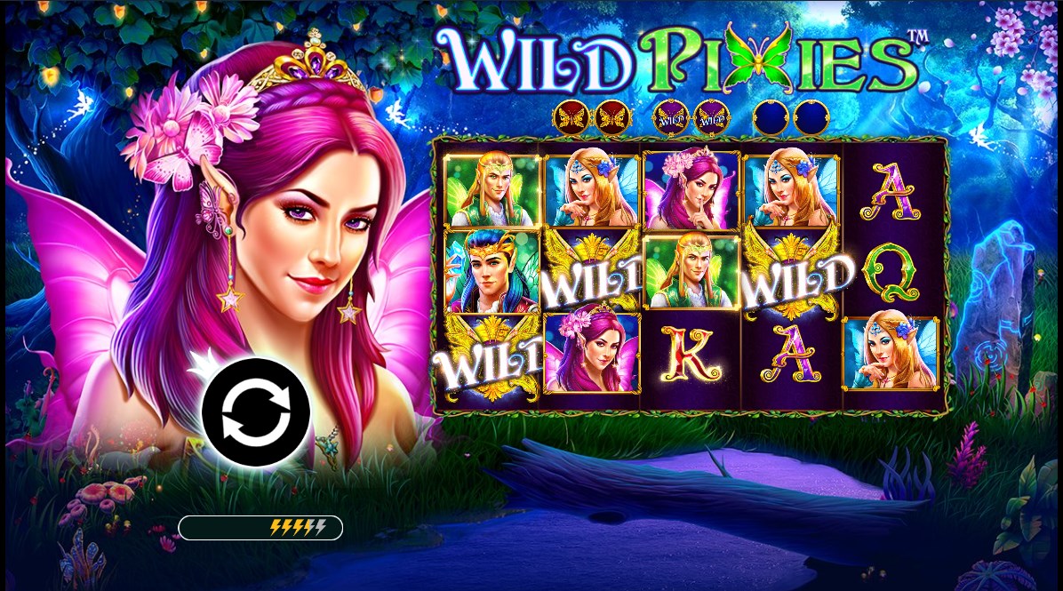 Wild Pixies slot apk download for android  1.0.0 screenshot 1