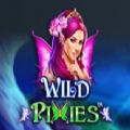 Wild Pixies slot apk download for android  1.0.0