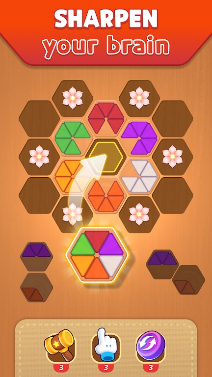 Hexa Puzzle 3D Color Sorting apk download for android  1.0.12 screenshot 3