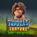 Tundras Fortune slot apk free download  1.0.0