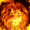 Fire Lion Wallpaper + Keyboard apk free download latest version  5.10.76
