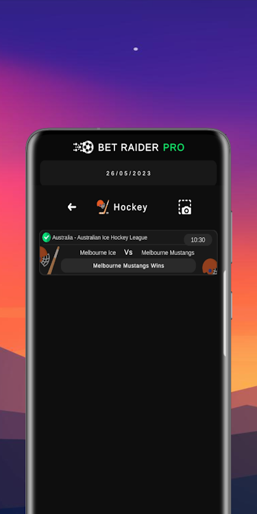 Bet Raider Pro apk free download latest version  5.0 screenshot 1